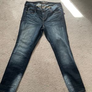 Torrid Luxe Skinny Premium Jeans
